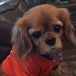 Meet your Posher, Maureen